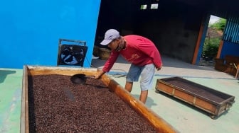 Banyak UMKM Mati Sebelum Tumbuh, Ini Bukti Pendamping Menjadi Penting