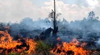 Jaga IKN dari Karhutla, Satgas PPU Intensifkan Pemantauan Titik Panas