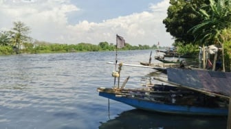 Sungai Ciujung Tercemar Limbah Industri, Air Menghitam, Pengusaha Tambak Terdampak