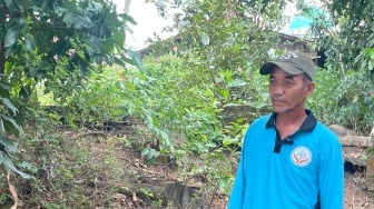 Dulu Diragukan Kini Diakui, Saga Petani Tegalsari Wujudkan Pertanian Organik