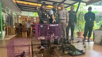 Penyelundupan 334 Burung Tanpa Dokumen Digagalkan, Pelaku Diamankan di Pelabuhan Merak
