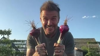 Aktivitas David Beckham Pasca Dapat Gelar Sir: Semringah Panen Bawang dan Wortel