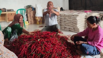 BRI Salurkan KUR ke Pemasok Lokal Penyuplai Program Makan Bergizi Gratis