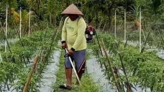 BRI Salurkan Pembiayaan pada Koperasi Penyuplai Bahan Pangan MBG untuk Pemenuhan Gizi Nasional