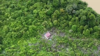Riwayat Taman Nasional Tesso Nilo, 'Surga' Beraneka Ragam Satwa Liar Langka