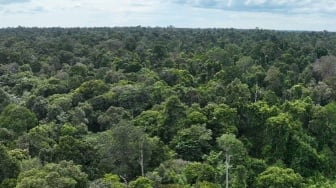 Riwayat Taman Nasional Tesso Nilo, 'Surga' Beraneka Ragam Satwa Liar Langka