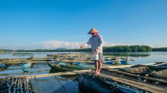 Januari - Mei 2025, BRI Salurkan KUR Rp69,8 Triliun untuk Dorong Sektor Produksi