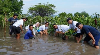 Sharp Indonesia Bergerak: Ribuan Mangrove Ditanam, Terumbu Karang Direstorasi!