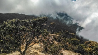 Surga Pendaki! Jelajahi 6 Gunung Ikonik di Sulawesi Selatan Plus Kisah Horor