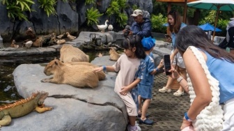 Cara Aman dan Nyaman Berwisata Bersama Anak di Kebun Binatang