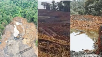12 Saksi Diperiksa, Polda Kaltim Bidik Tersangka Tambang Ilegal di Lahan Unmul