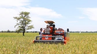 Produksi Beras Nasional Naik 14 Persen, Capai 29,97 Juta Ton hingga Agustus 2025