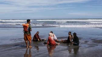Dikira Mainan di Film SpongeBob, 22 Wisatawan Jogja Tersengat Ubur-ubur di Pantai Selatan