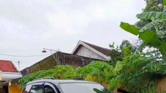 7 Mobil Bekas di Bawah 100 Juta: Irit, Bandel, dan Mudah Perawatan!