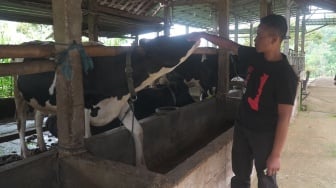 Dapat Berbagai Fasilitas dari BRI, Klaster Susu di Ponorogo Berhasil Tingkatkan Kapasitas Produksi