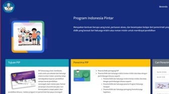 PIP Juli 2025 Kapan Cair? Berikut Jadwal dan Cara Ceknya