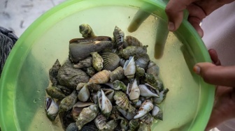 7 Manfaat Lendir Siput untuk Perawatan Kulit, Bikin Awet Muda dan Glowing