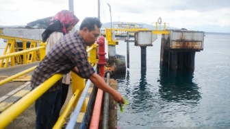 Tabur Bunga di Selat Bali, Harapan Keluarga Bertarung dengan Kenyataan
