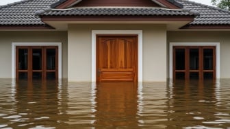 Dari Jati hingga Ulin: Ini 3 Daftar Kayu Anti Banjir Agar Rumah Tetap Kokoh Puluhan Tahun