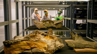 Museum Bukuran Jadi Pusat Konservasi Fosil dan Benda Purbakala