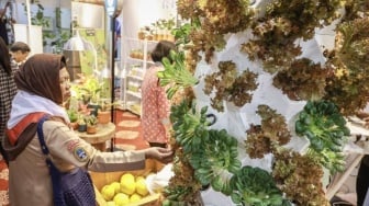 Jakarta Masih Impor 98 Persen Pangan, Urban Farming Jadi Solusi Hijau
