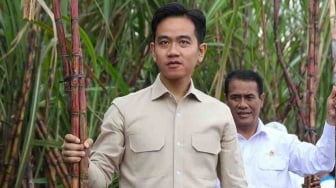 Celurit Gibran Copot saat Panen Tebu, Dimaknai Sinis Jabatan Segera Dicopot