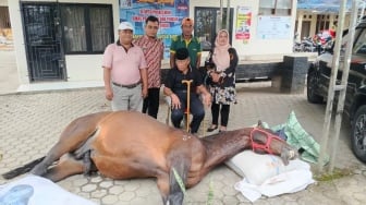 Kuda Legendaris Fort De Kock Bukittinggi Mati, Dibeli Wali Kota Seharga Rp 800 Juta 17 Tahun Lalu!