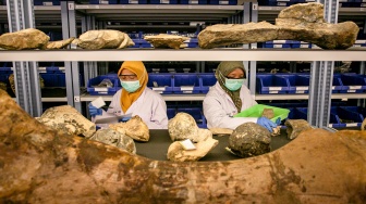 Konservator memeriksa data fosil dan benda purbakala di ruang penyimpanan Laboratorium Konservasi Museum dan Cagar Budaya Klaster Bukuran, Kalijambe, Sragen, Jawa Tengah, Rabu (9/7/2025). [ANTARA FOTO/Mohammad Ayudha/nym]
