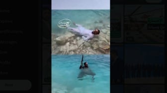 Taliban Promosikan Pariwisata Afghanistan dengan Parodi 'Nyentrik': Berani Coba?