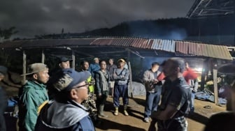 Tragis! Warga Tewas Dimangsa Harimau Sumatera Saat Berkebun di Lampung Barat