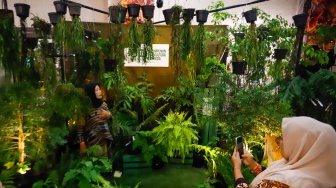 Warga mengunjungi acara Festival Urban Farming 2025 di GOR Soemantri Brodjonegoro, Jakarta, Jumat (11/7/2025). [Suara.com/Alfian Winanto]