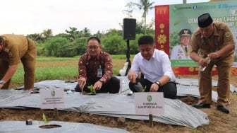 Sumsel Mandiri Pangan 2025: Gerakan dari Desa ke Kantor yang Bikin Warga Tak Lagi Bergantung