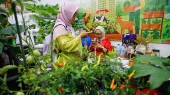 Warga mengunjungi acara Festival Urban Farming 2025 di GOR Soemantri Brodjonegoro, Jakarta, Jumat (11/7/2025). [Suara.com/Alfian Winanto]