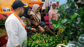 Warga mengunjungi acara Festival Urban Farming 2025 di GOR Soemantri Brodjonegoro, Jakarta, Jumat (11/7/2025). [Suara.com/Alfian Winanto]