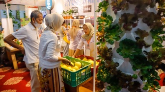 Warga mengunjungi acara Festival Urban Farming 2025 di GOR Soemantri Brodjonegoro, Jakarta, Jumat (11/7/2025). [Suara.com/Alfian Winanto]