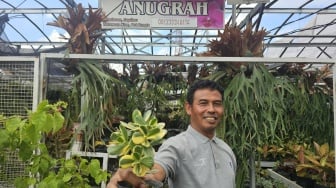 UMKM Batu Makin Tangguh Berkat Klaster Tanaman Hias Binaan BRI