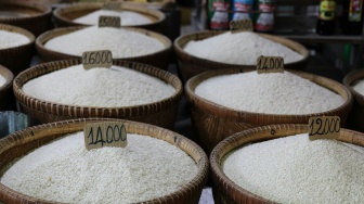 Geger 212 Beras Oplosan! Ini Panduan Cerdas Cara Mengenali Beras Asli dan Palsu