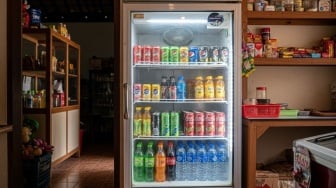Kulkas Minuman di Warung Namanya Apa? Cek Pilihan Termurah untuk Usaha di Rumah