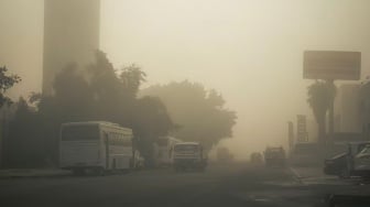 Uang, Udara, dan Jalan Raya: Mengurai Tantangan Dekarbonisasi Transportasi