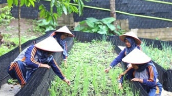 PGE Ulubelu Gairahkan Ekonomi Warga Lewat Cabai, Bawang dan Energi Bersih