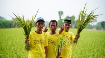Produksi Petani Bulutana Naik 65 Persen Lewat PKT Berseri