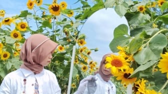 4 Spot Foto Bunga-Bunga Cantik di Batu yang Instagramable dan Bikin Betah!