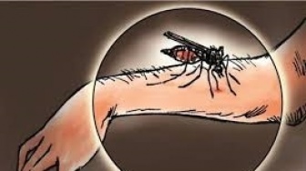 Dari Ribuan Jadi Ratusan: Tren Positif Malaria di Kaltim Terus Berlanjut