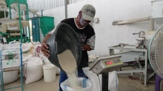 Celah Maut Tata Niaga Beras: Izin Pusat Bikin Pemda Kecolongan Awasi Peredaran Beras Oplosan