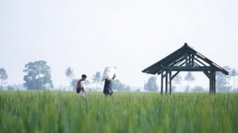 Rp 300 Miliar untuk Pertanian IKN: PPU Gandeng BUMN Korea Selatan