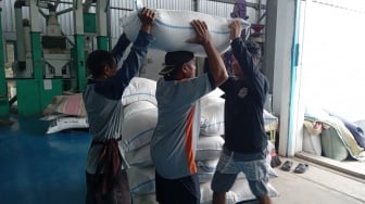 Klaim Swasembada Dibayangi Risiko, Pengamat Ingatkan Potensi Penurunan Produksi Beras