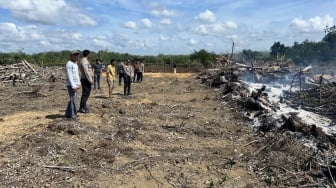 Diduga Sengaja Bakar Lahan Demi Sawit, Warga Kuansing Ditangkap Polisi