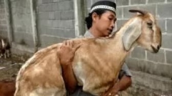 Apa Hukum Anak yang Belum Aqiqah dalam Syariat Islam? Ini Penjelasan Muhammadiyah