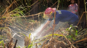 Sumbar Darurat Karhutla! Manggala Agni Jambi Bakal Diperpanjang, Kondisi Semakin Memprihatinkan