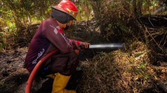 Apa Penyebab Karhutla yang Makin Meluas di Sumbar? Ini Kata Dishut
